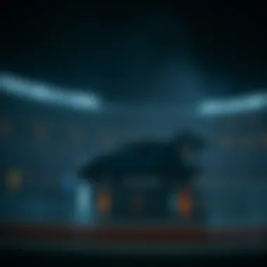 Magnificent 아시안컵 배당률의 복잡한 세계 Magnificent 아시안컵 배당률의 복잡한 세계