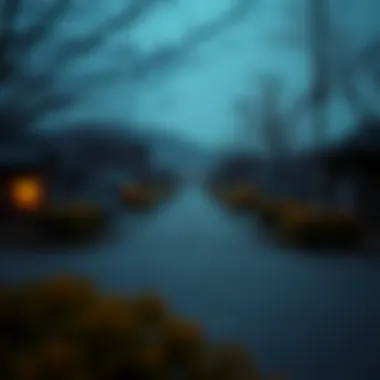 Magnificent 로또 결과 분석과 베팅 전��략: KoreanWinPath를 통한 심층 탐구