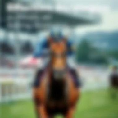 Effective Betting Strategies Illustrative infographic on effective betting strategies for horse racing.