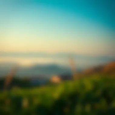 Finding Peace Through Financial Security A serene landscape reflecting the peace that comes with financial security