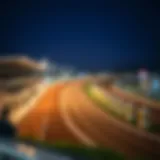 A panoramic view of a vibrant horse racing track in South Korea