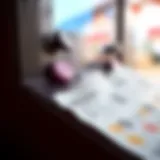A close-up of lottery tickets and a draw machine