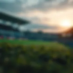 Comprehensive analysis of a betting platform