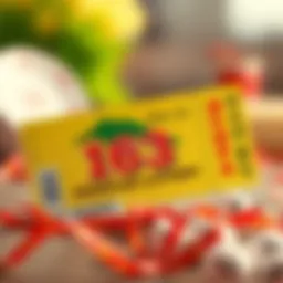 A vibrant illustration of the Pension Lottery 163 ticket showcasing its unique design.